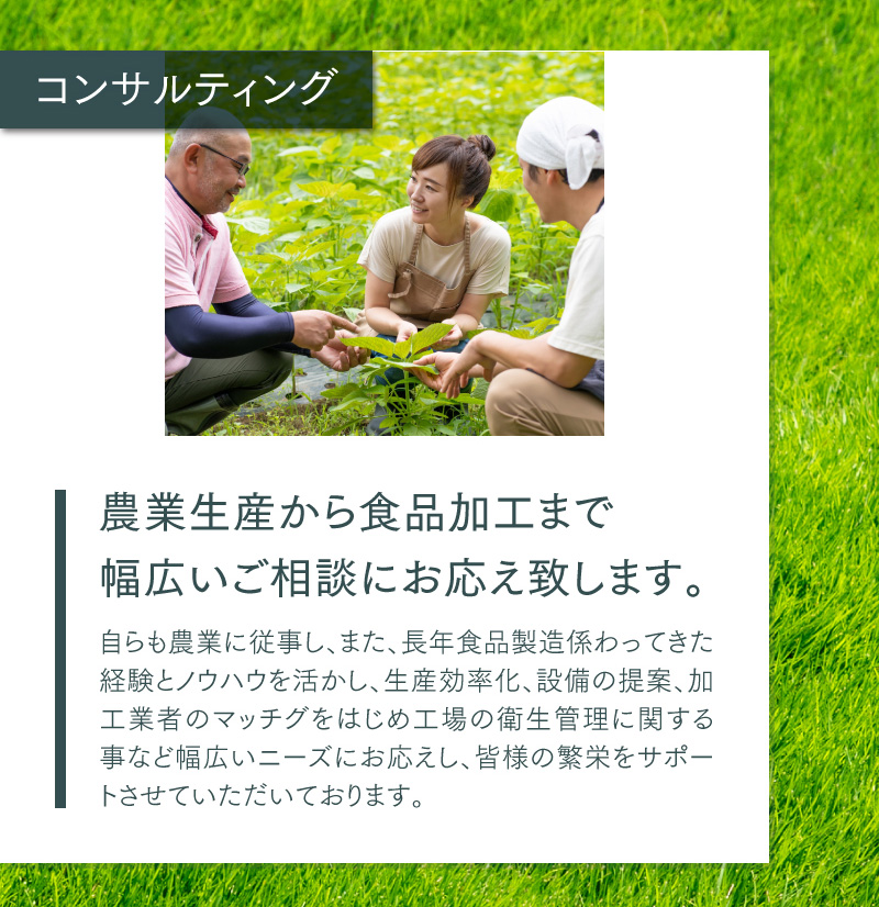 コンサルティング